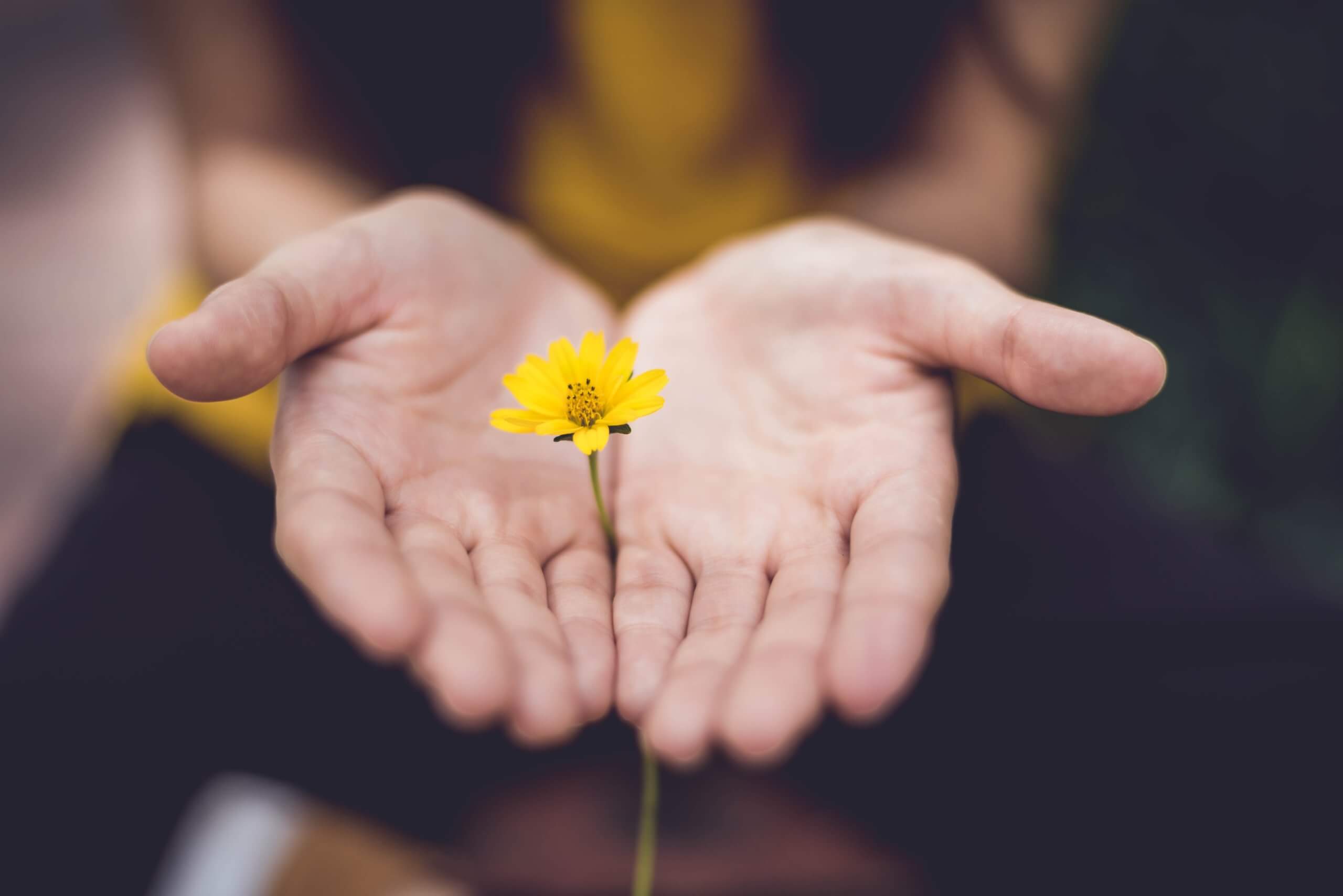 Spenden & Unterstützung